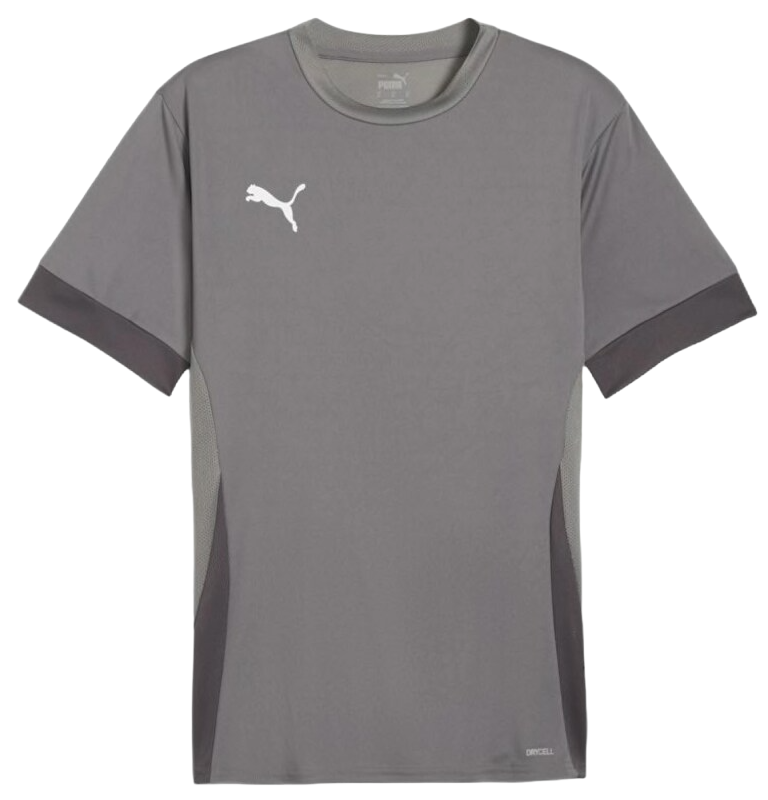 Dres Puma teamGOAL Matchday Jersey Šedá | 705747-13, 0
