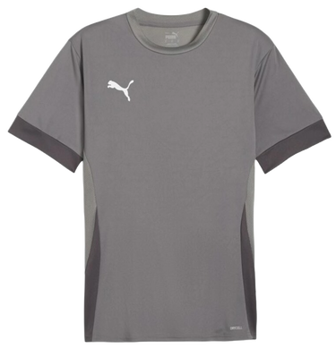 Dres Puma teamGOAL Matchday Jersey Šedá | 705747-13, 0