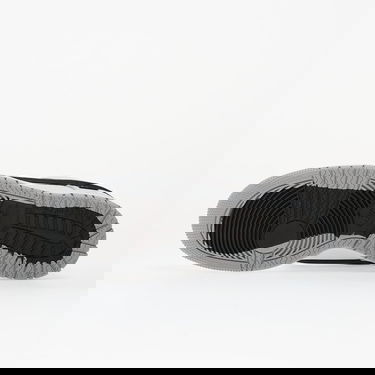 Tenisky a topánky Nike Dunk Low Gtx Šedá | HQ2053-100, 1