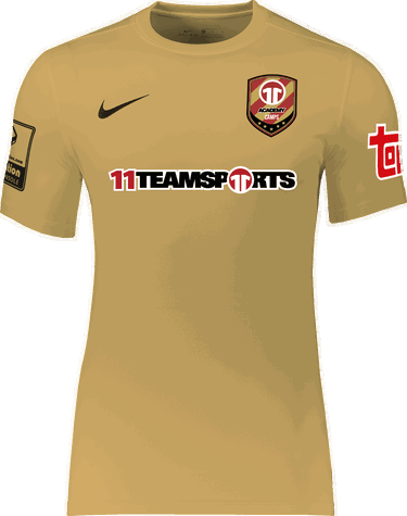 Dres Nike Nike Academy Park VII Jersey Žltá | ac-25-bv6741-729, 0
