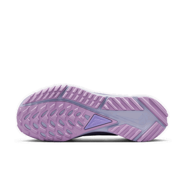 Tenisky a topánky Nike Pegasus Trail 4 GORE-TEX 'Oxygen Purple' W Fialová | DJ7929-501, 2