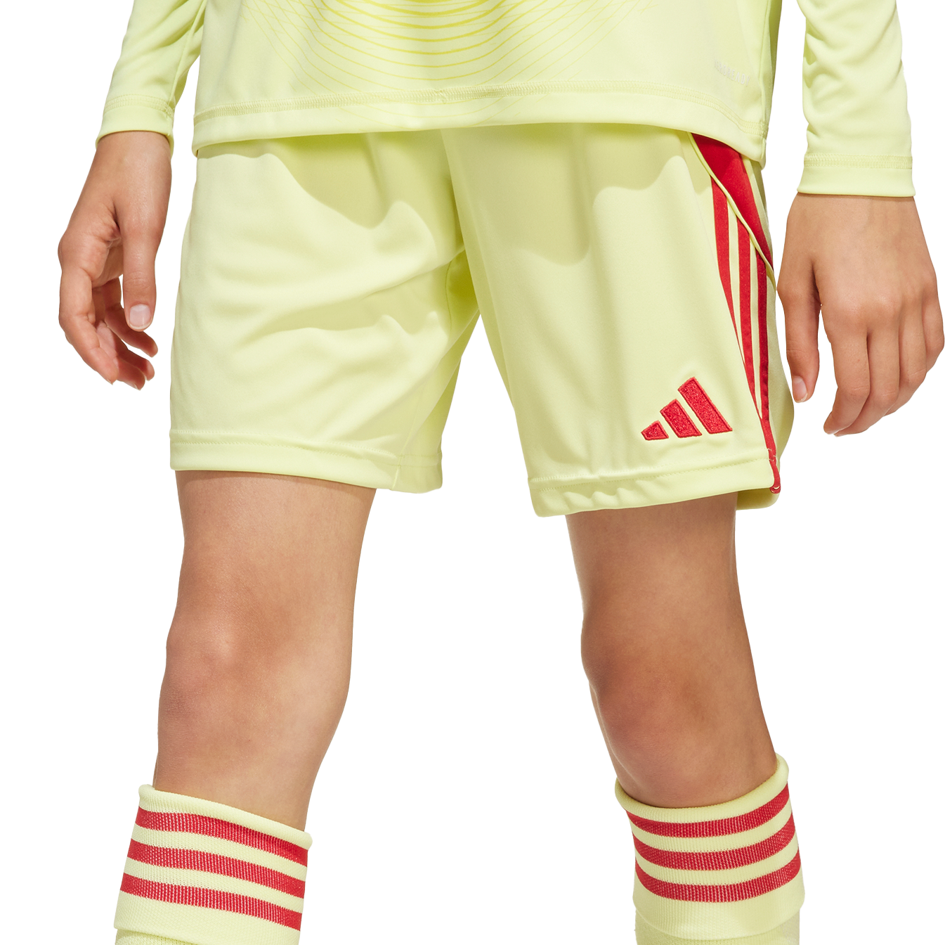 Šortky adidas Originals adidas TIRO24 Training Shorts Žltá | jc6206, 1