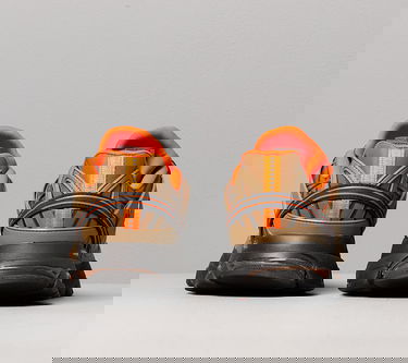 Tenisky a topánky Reebok DMX Trail Shadow Hnedá | FW3332, 3