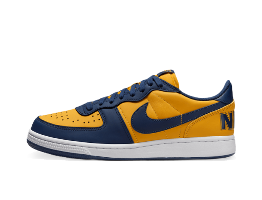 Tenisky a topánky Nike Terminator Low "Michigan" Žltá | FJ4206-700