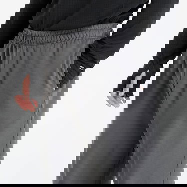 Tepláky The North Face The North Face Expedition Celebration Relaxed Jogger Pants Šedá | NF0A8E3ERHI1, 4