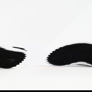 Tenisky a topánky Nike SB Shane Čierna | BV0657-003, 5