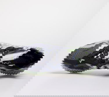 Tenisky a topánky adidas Originals Runner EVO 4D Šedá | EG6510, 2