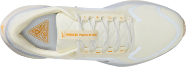 Tenisky a topánky Nike Pegasus 41 GORE-TEX Béžová | fq1356-102, 2