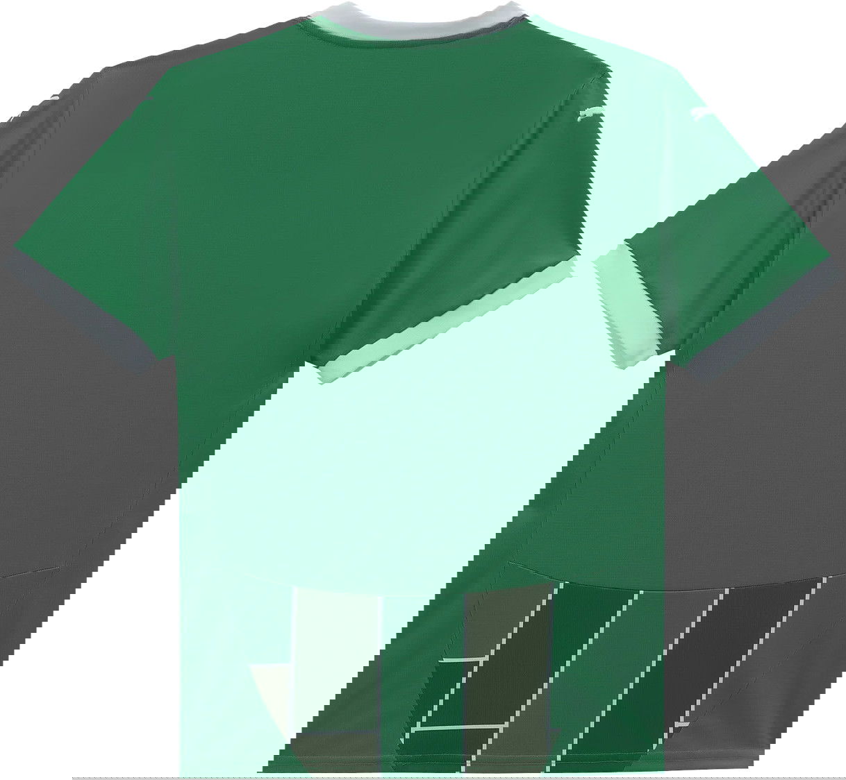 Dres Puma SK Rapid Jersey Home 2024/25 Zelené | skr781059-01, 1