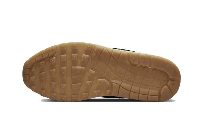 Tenisky a topánky Nike Air Max 1 Premium ''Air Max Day - Wabi-Sabi'' W Rôznofarebný | DQ8656-133, 1