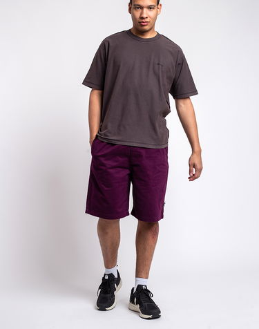 Šortky Stüssy Brushed Beach Short Fialová | 112282, 0