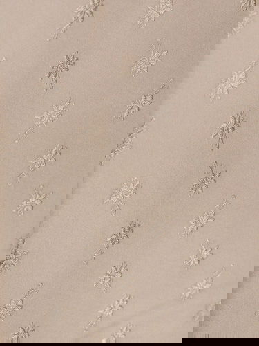 Šaty FENDI Fendi Embroidered Slip Midi Dress Béžová | FDD293AQ3OF1SA0, 2