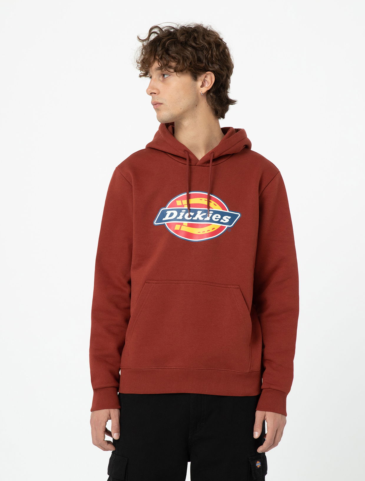 Mikina Dickies Icon Logo Hoodie Vínová | 0A4XCB, 0