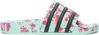 Adilette Arizona Green Tea with Ginseng and Honey