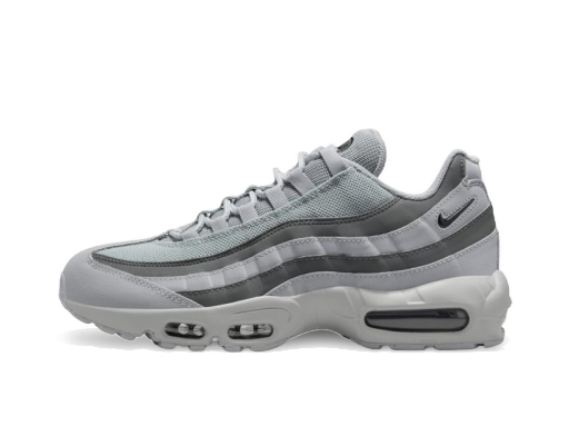 Tenisky a topánky Nike Air Max 95 Šedá | DX2657-002