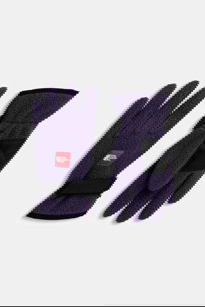 Rukavice The North Face Redbox Fleece Gloves Fialová | NF0A8EGF1JI1, 0