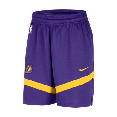 Šortky Nike Dri-FIT NBA Los Angeles Lakers Icon Fialová | DZ3722-504, 1