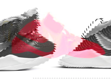 Tenisky a topánky Nike Team Hustle D9 Auto Červená | CK0617-600, 1