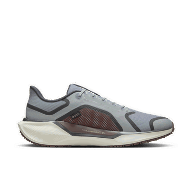 Tenisky a topánky Nike Pegasus 41 GORE-TEX Šedá | FQ1356-003, 2