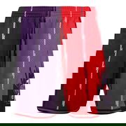 Mitchell & Ness NBA Toronto Raptors 1998 Split Swingman Shorts