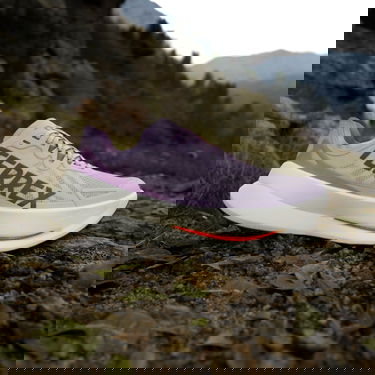 Tenisky a topánky adidas Performance Terrex Agravic Speed Ultra Fialová | jq1616, 5