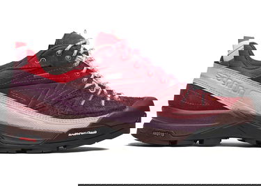 Tenisky a topánky Salomon X-Alpages GTX The Broken Arm Vínová | L47346100, 0