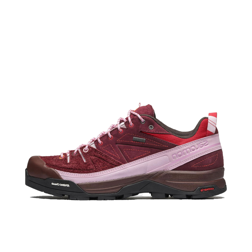 Outdoor Salomon X-Alpages GTX The Broken Arm Vínová | L47346100