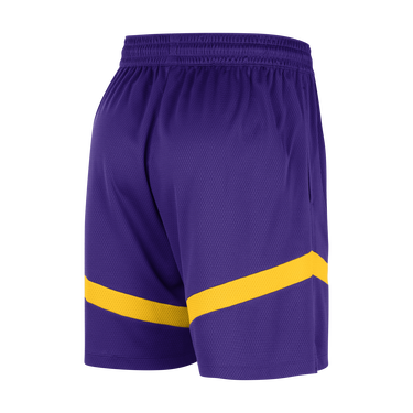 Šortky Nike Dri-FIT NBA Los Angeles Lakers Icon Fialová | DZ3722-504, 3