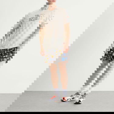 Tričko The North Face Summit Series High Trail Graphic T-Shirt, Size Small Béžová | NF0A8FB42E8, 4