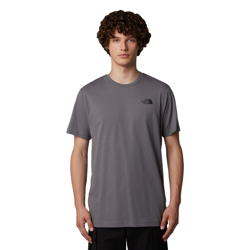 Tričko The North Face Celebration T-Shirt Šedá | NF0A87NV0UZ1