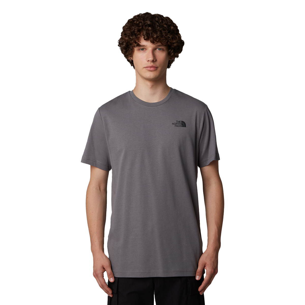 Tričko The North Face Celebration T-Shirt Šedá | NF0A87NV0UZ1, 0
