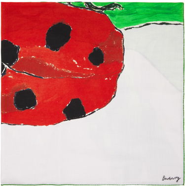 Šál Burberry Ladybird Cashmere Silk Scarf Zelené | 8083722, 0