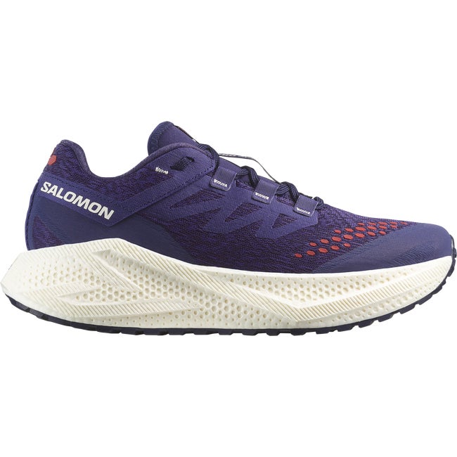 Tenisky a topánky Salomon Aero Glide 3 Fialová | L47869800, 1