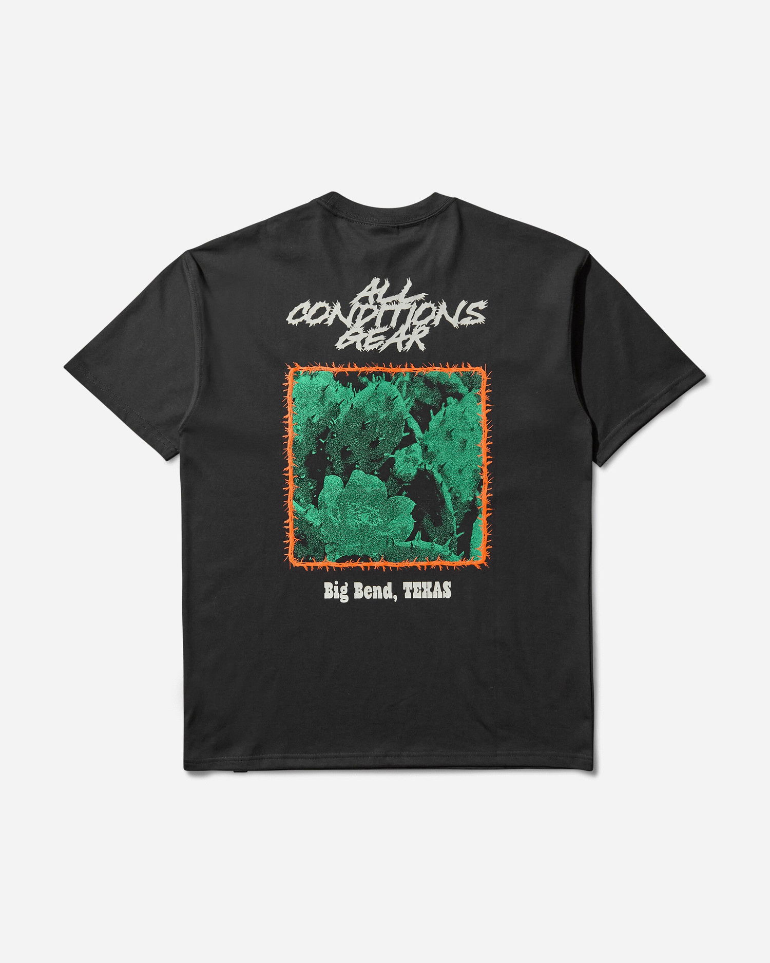 Tričko Nike ACG Cactus Graphic Tee Čierna | HV1292-010, 0