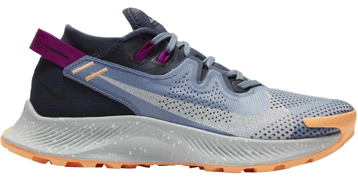 Tenisky a topánky Nike Pegasus Trail 2 W Šedá | CK4309-401, 0