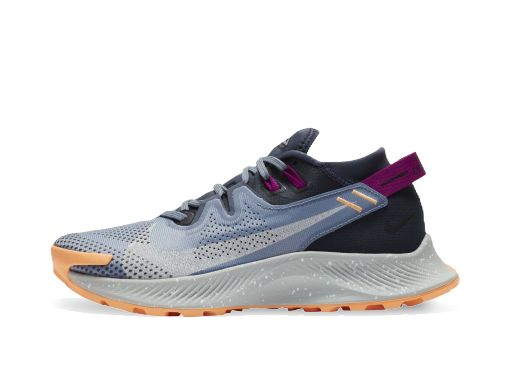 Bežecké topánky Nike Pegasus Trail 2 W Šedá | CK4309-401