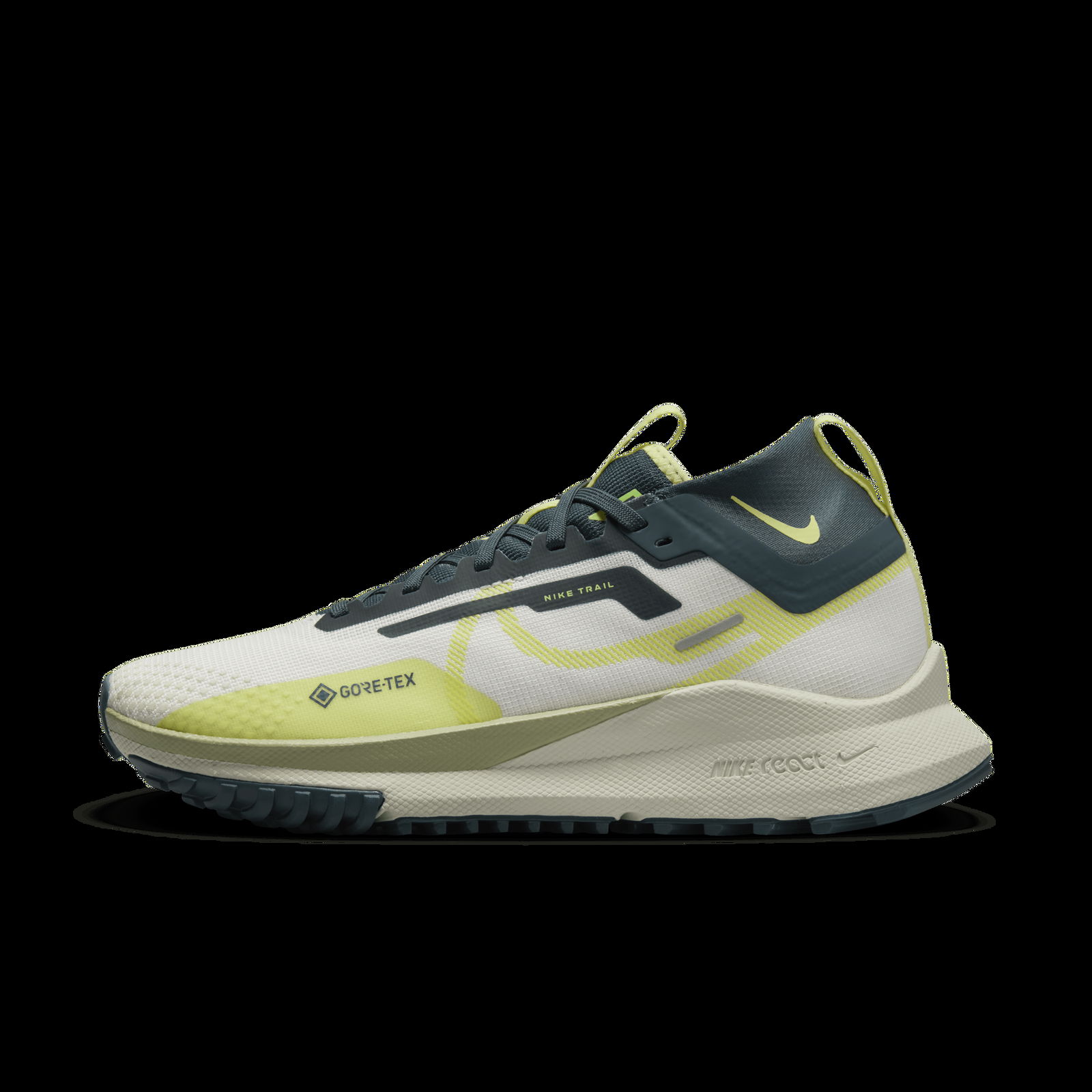 Nike Pegasus Trail 4 GORE-TEX W