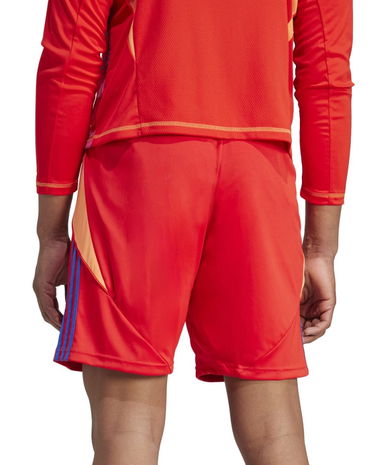 Šortky adidas Originals adidas TIRO24 SHO Červená | it2416, 2