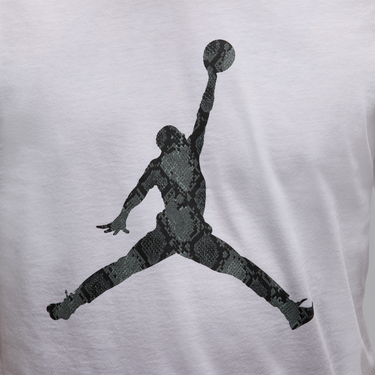 Tričko Jordan Jordan Sport Dri-FIT T-Shirt Biela | HJ2862-102, 3