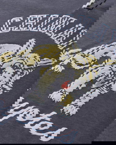 Tričko Champion Index and Archives Sunset Chimayo Coyotes Graphic Henley T-Shirt with Contrast Trim Šedá | 221839 ES524, 3