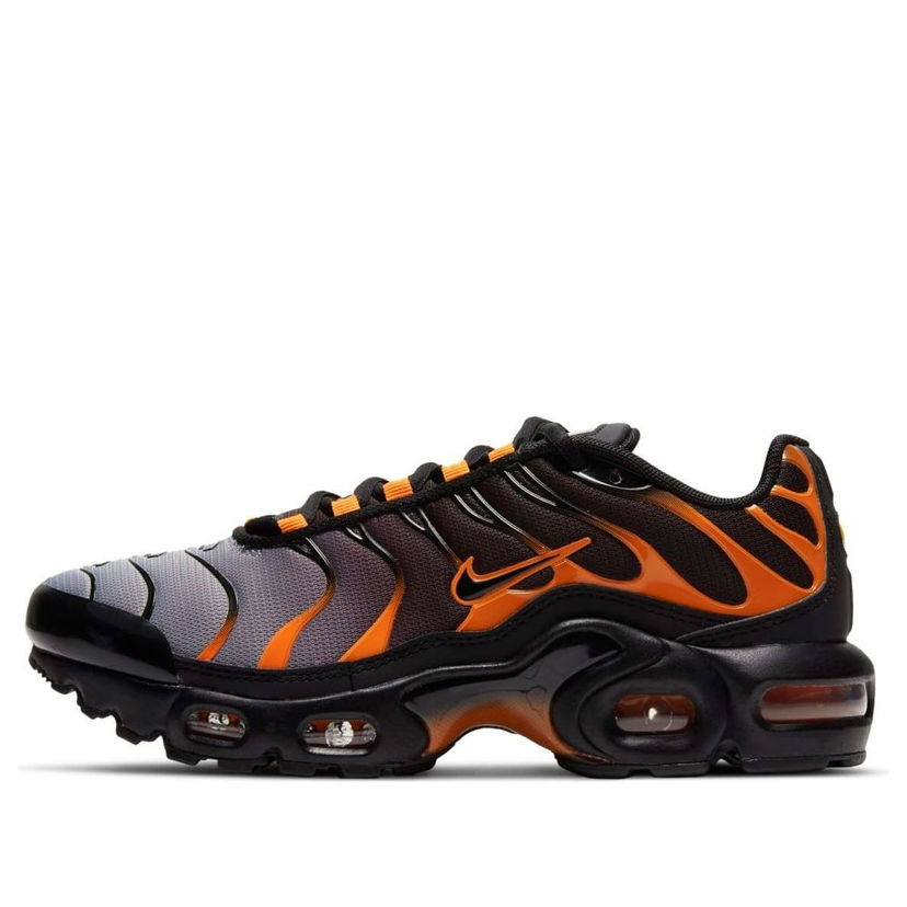 Tenisky a topánky Nike Air Max Plus Rôznofarebný | DJ4619-001