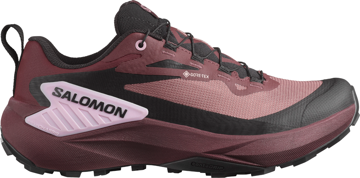 Tenisky a topánky Salomon GENESIS GTX W Vínová | l47588900, 0