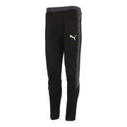 Evostripe Training Pants