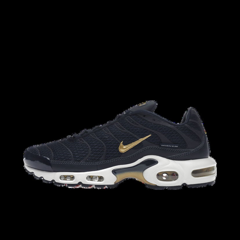 Tenisky a topánky Nike Air Max Plus "FFF" Hnedá | FB3350-400