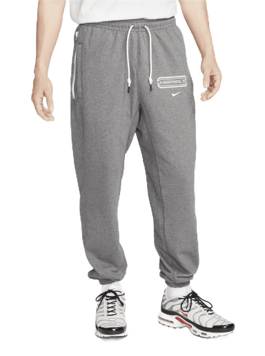 Tepláky Nike Liverpool FC Standard Issue Šedá | DV4995-071