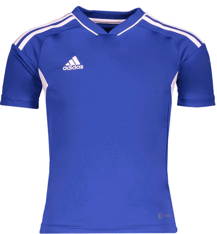 Dres adidas Originals AEROREADY Custom Training Jersey Modrá | hb5383blau
