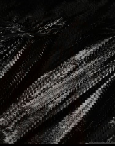 Kabáty Dolce & Gabbana Alpaca And Eel Skin Single-breasted Coat With Belt Čierna | F0G1XFGDCP5N0000, 2