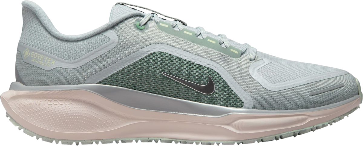Tenisky a topánky Nike Pegasus 41 GORE-TEX Rôznofarebný | fq1356-007, 0