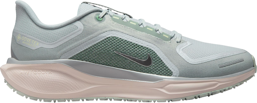 Tenisky a topánky Nike Pegasus 41 GORE-TEX Rôznofarebný | fq1356-007