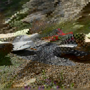 Tenisky a topánky adidas Performance Terrex AGRAVIC SPEED ULTRA 2 Rôznofarebný | jr9110, 6